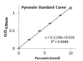 Functional Studies - Pyruvate Kinase Assay Kit (AB83432)