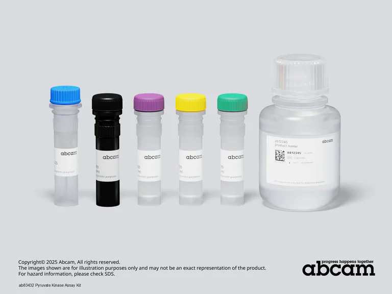 Other - Pyruvate Kinase Assay Kit (AB83432)