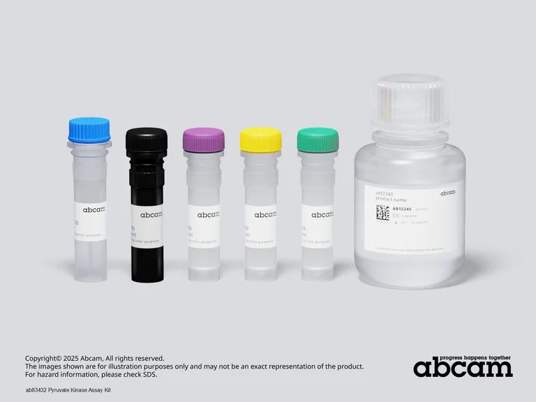 Schematic Diagram - Pyruvate Kinase Assay Kit (AB83432)