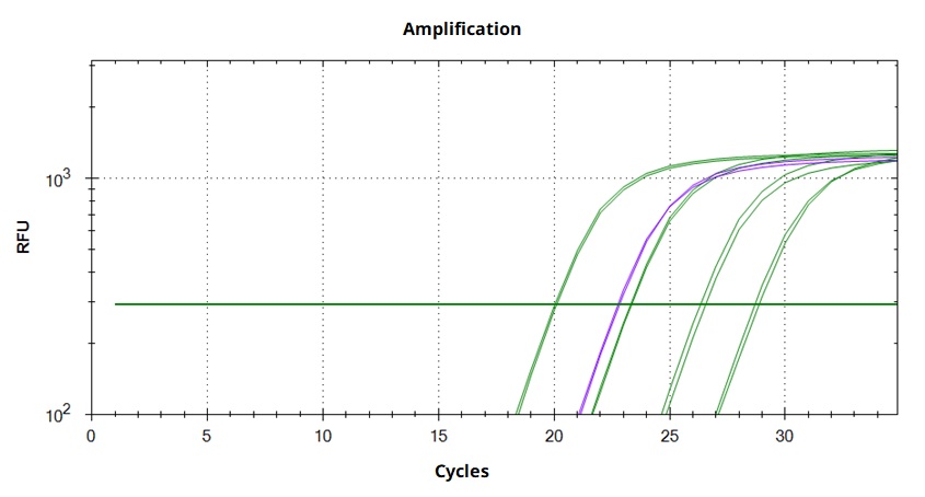 PCR - qPCR Lentivirus Titer Kit (AB289841)