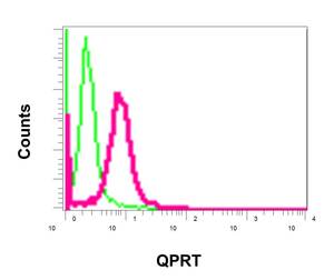 Flow Cytometry (Intracellular) - Anti-QPRT antibody [EPR11941(B)] - BSA and Azide free (AB249663), expandable thumbnail