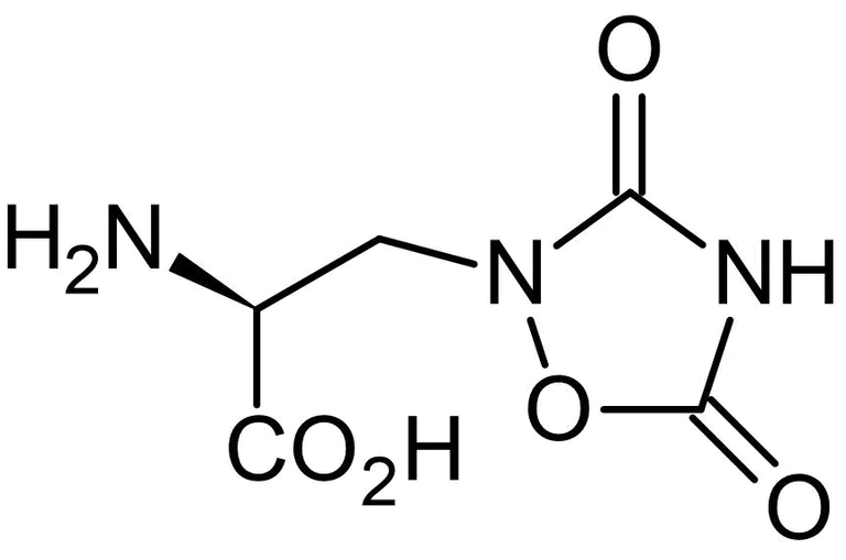 Chemical Structure - Quisqualic acid, group I mGlu agonist. AMPA agonist. (AB120010)