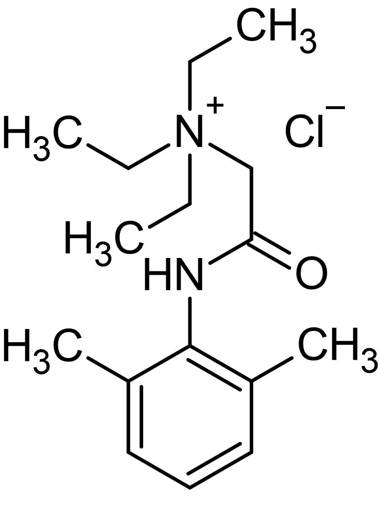 Chemical Structure - QX-314 chloride (N-Ethyllidocaine chloride) (mM/ml), Na+ channel blocker (AB144493)