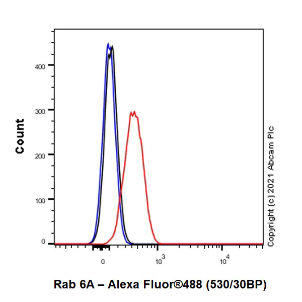 Flow Cytometry (Intracellular) - Anti-Rab 6A + Rab 6D + Ral-A antibody [EPR24472-24] (AB271094)