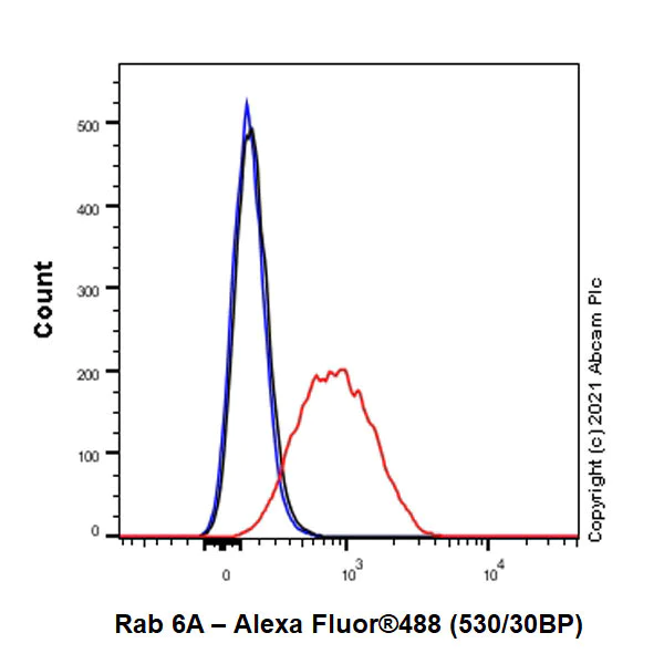 Flow Cytometry (Intracellular) - Anti-Rab 6A + Rab 6D + Ral-A antibody [EPR24472-24] (AB271094)