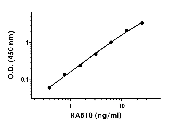 Sandwich ELISA - Anti-RAB10 antibody [EPR13242] - BSA and Azide free (Detector) (AB259752)