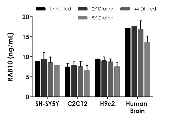 Sandwich ELISA - RAB10 ELISA Kit (AB255717)
