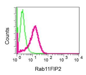 Flow Cytometry (Intracellular) - Anti-RAB11-FIP2 antibody [EPR12294] (AB174313)