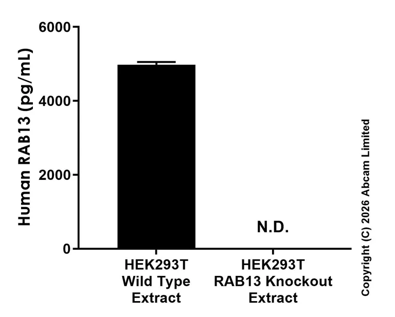 Sandwich ELISA - Anti-RAB13 antibody [MJF-D31248-526] - BSA and Azide free (Detector) (AB327719)