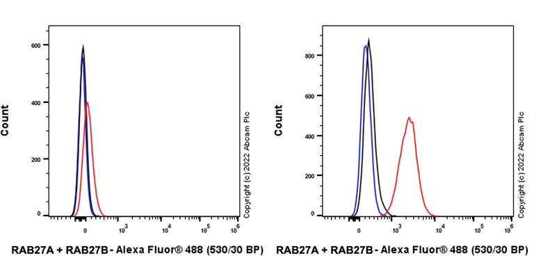 Flow Cytometry (Intracellular) - Anti-RAB27A + RAB27B antibody [EPR27120-68] - BSA and Azide free (AB313576)