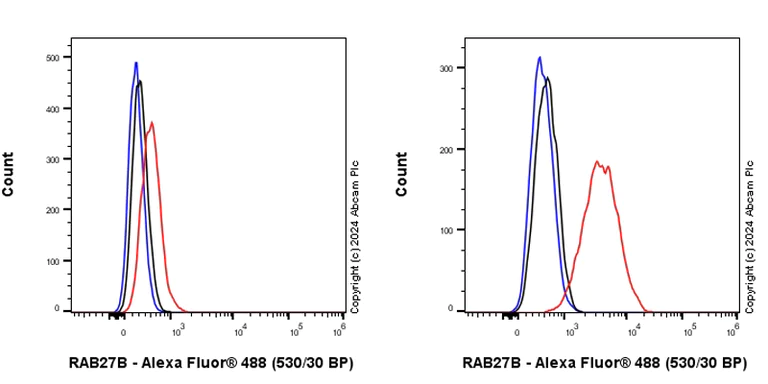 Flow Cytometry (Intracellular) - Anti-RAB27B antibody [EPR28647-45] (AB317264)