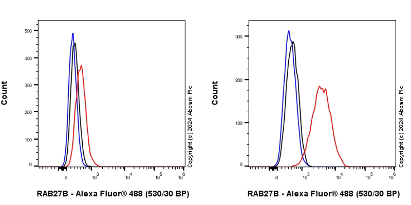 Flow Cytometry (Intracellular) - Anti-RAB27B antibody [EPR28647-45] - BSA and Azide free (AB317265), expandable thumbnail