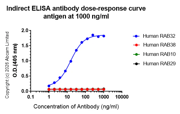 Indirect ELISA - Anti-RAB32 antibody [EPR30866-551] (AB327057)