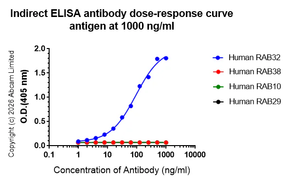Indirect ELISA - Anti-RAB32 antibody [EPR30866-577] (AB327059)
