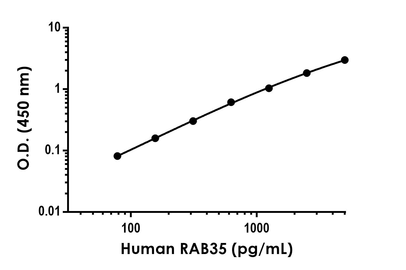 Sandwich ELISA - Anti-RAB35 antibody [EPR24487-20] - BSA and Azide free (Detector) (AB307243), expandable thumbnail