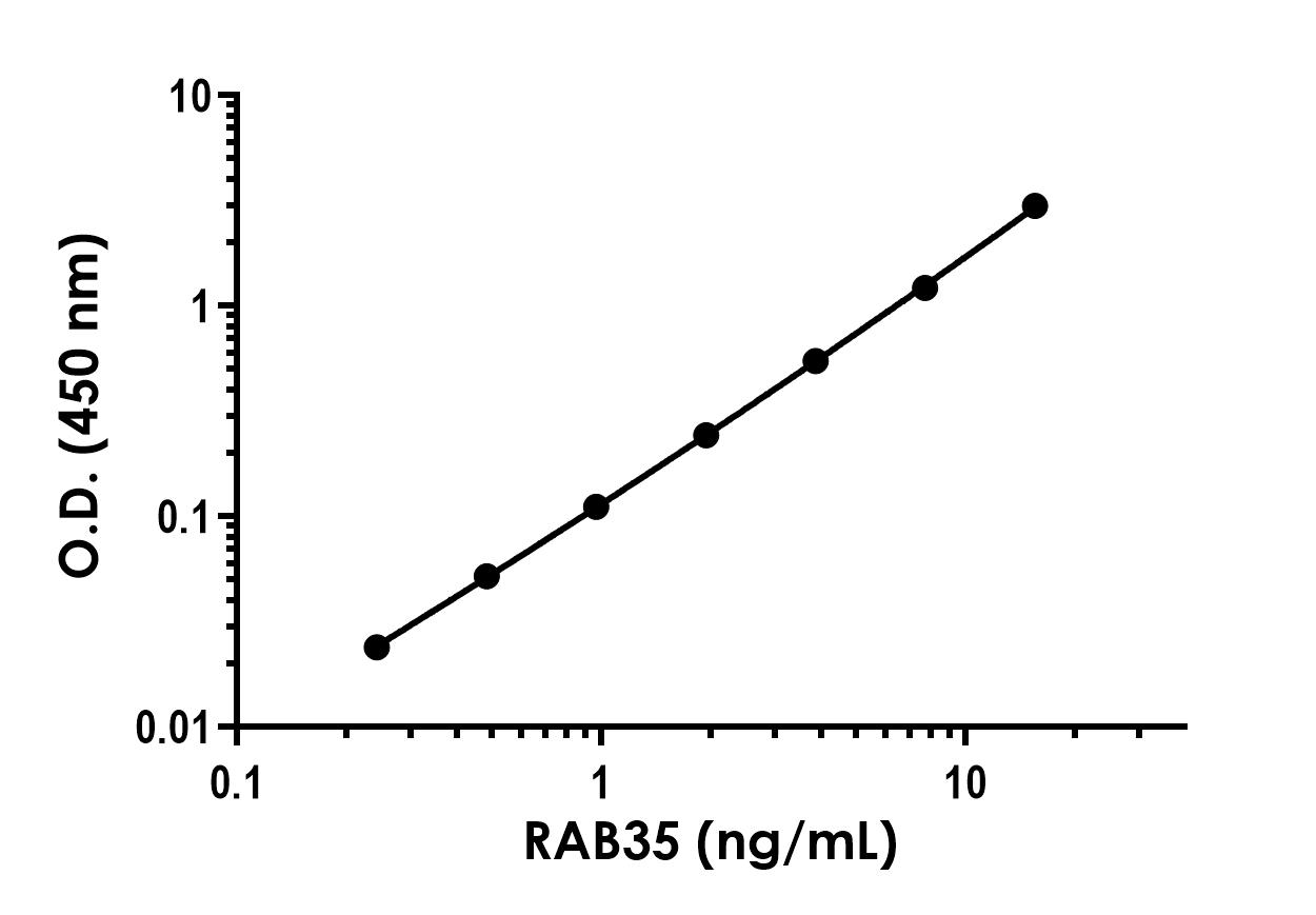 Sandwich ELISA - RAB35 ELISA Kit (AB323606)