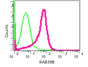 Flow Cytometry (Intracellular) - Anti-RAB39B antibody [EPR9651] (AB154826)