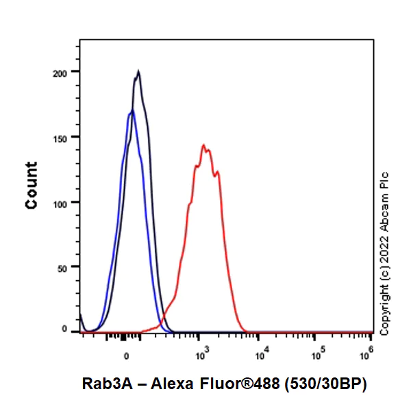 Flow Cytometry (Intracellular) - Anti-Rab3A antibody [EPR26022-9] (AB302518)