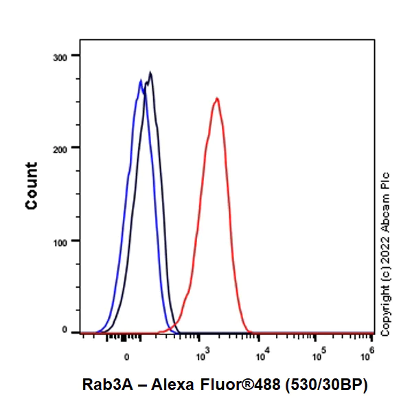 Flow Cytometry (Intracellular) - Anti-Rab3A antibody [EPR26022-9] (AB302518)