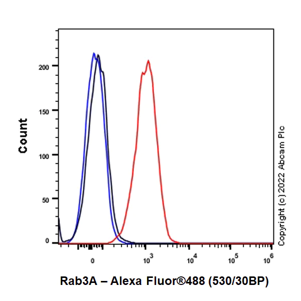 Flow Cytometry (Intracellular) - Anti-Rab3A antibody [EPR26022-9] (AB302518)