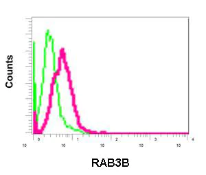 Flow Cytometry (Intracellular) - Anti-RAB3B antibody [EPR12987] - BSA and Azide free (AB250020)