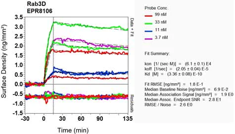 OI-RD Scanning - Anti-Rab3D antibody [EPR8106] (AB128997)