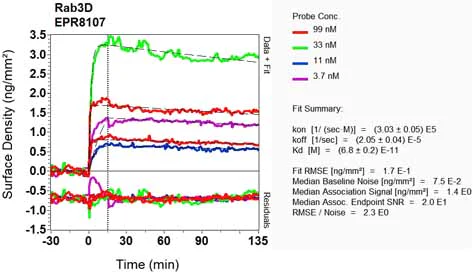 OI-RD Scanning - Anti-Rab3D antibody [EPR8107] (AB133301)