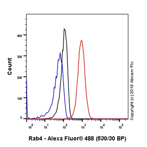 Flow Cytometry (Intracellular) - Anti-Rab4 antibody [EPR3043] - BSA and Azide free (AB226047)