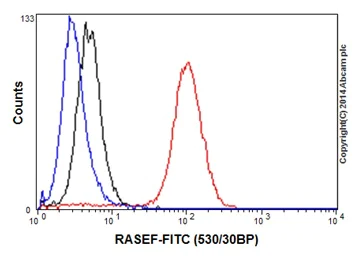 Flow Cytometry (Intracellular) - Anti-RAB45 antibody [EPR16349] - BSA and Azide free (AB251195)