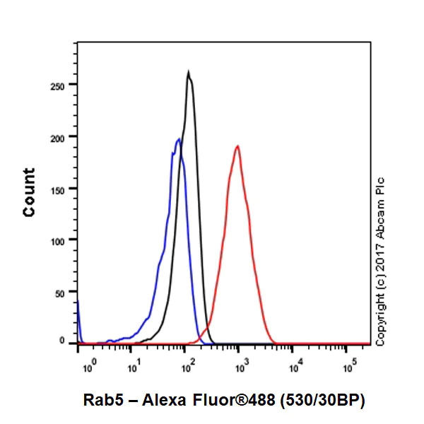 Flow Cytometry (Intracellular) - Anti-Rab5 antibody [EPR21801] - BSA and Azide free (AB231095)