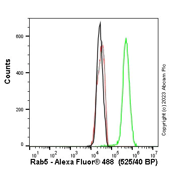 Flow Cytometry (Intracellular) - Anti-Rab5 antibody [EPR21801] - BSA and Azide free (AB231095)