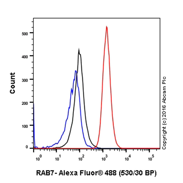 Flow Cytometry (Intracellular) - Anti-RAB7 antibody [EPR7589] - BSA and Azide free (AB214806)