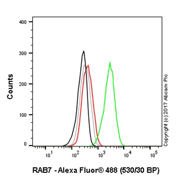 Flow Cytometry (Intracellular) - Anti-RAB7 antibody [EPR7589] - BSA and Azide free (AB214806)