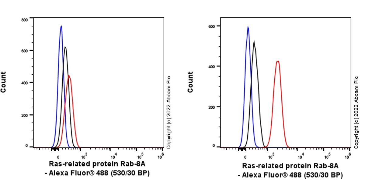 Flow Cytometry (Intracellular) - Anti-RAB8A antibody [MJF-R22-79-3] - Mouse IgG2a (Chimeric) (AB307607), expandable thumbnail