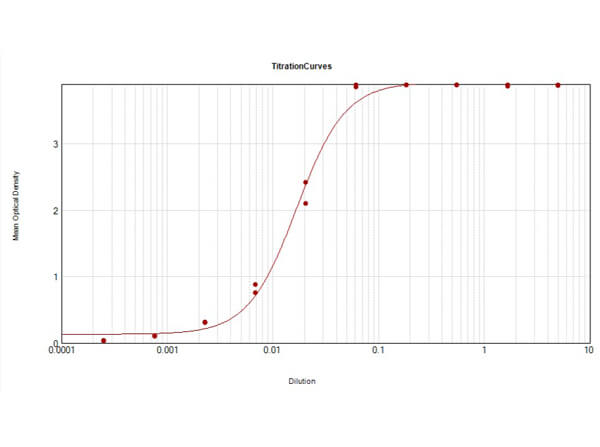 ELISA - Rabbit Anti-Cow IgG H&L (Alkaline Phosphatase) (AB6928), expandable thumbnail