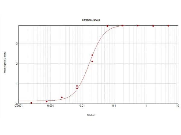 ELISA - Rabbit Anti-Cow IgG H&L (Alkaline Phosphatase) (AB6928)