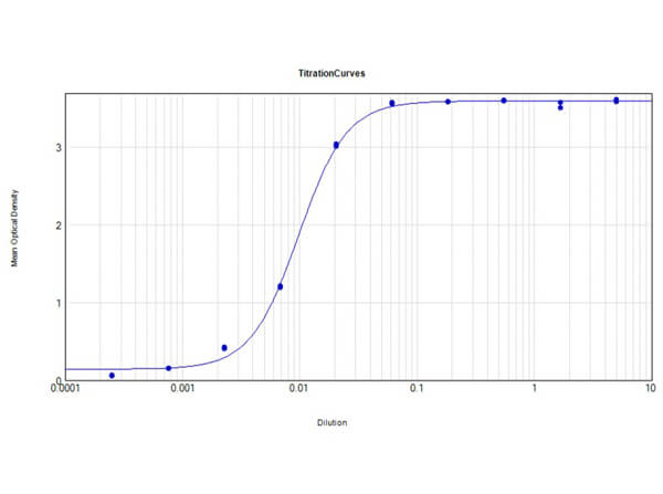 ELISA - Rabbit Anti-Cow IgG H&L (HRP) (AB6927), expandable thumbnail