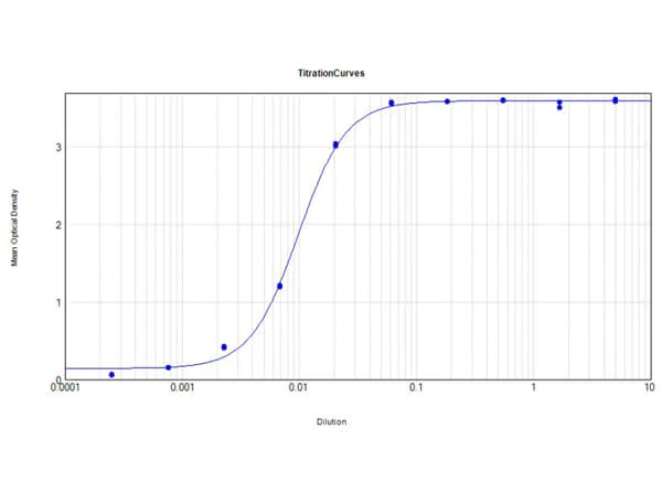 ELISA - Rabbit Anti-Cow IgG H&L (HRP) (AB6927)