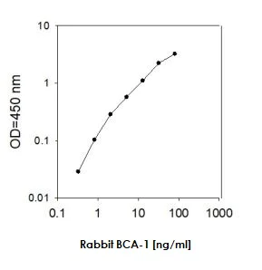 Sandwich ELISA - Rabbit CXCL13 ELISA Kit (BCA-1) (AB273248)