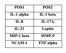 Multiplex Protein Detection - Rabbit Cytokine Antibody Array (10 Targets) - Quantitative (AB197459), expandable thumbnail