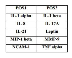 Multiplex Protein Detection - Rabbit Cytokine Antibody Array (10 Targets) - Quantitative (AB197459)