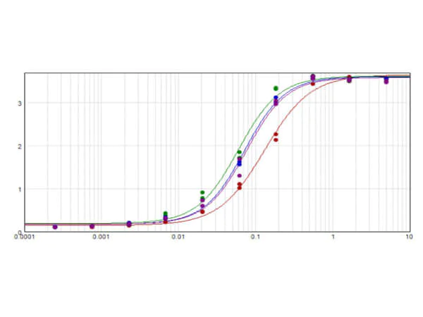 ELISA - Rabbit Anti-Goat IgG H&L (Alkaline Phosphatase) (AB6742)