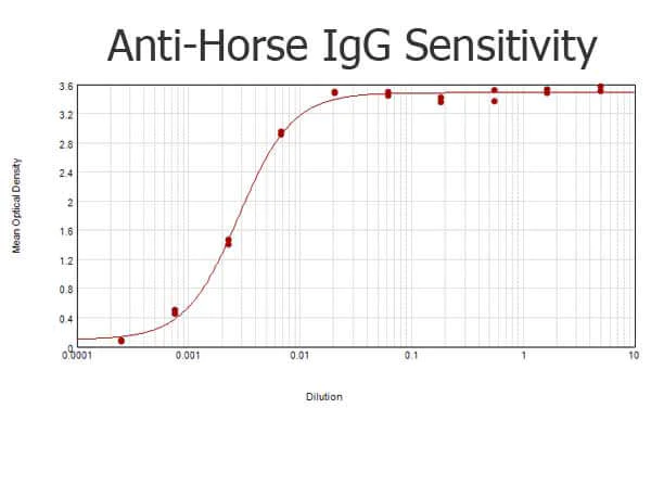 ELISA - Rabbit Anti-Horse IgG H&L (HRP) (AB6921)