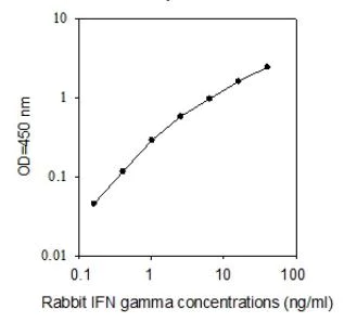Sandwich ELISA - Rabbit IFN-gamma ELISA Kit (AB273238)