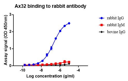 Indirect ELISA - Anti-Rabbit IgG antibody [Ax32] - BSA and Azide free (AB272685)