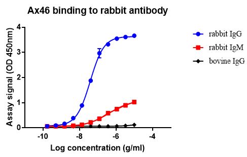 Indirect ELISA - Anti-Rabbit IgG antibody [Ax46] - BSA and Azide free (AB274371), expandable thumbnail