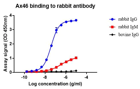 Indirect ELISA - Anti-Rabbit IgG antibody [Ax46] - BSA and Azide free (AB274371)