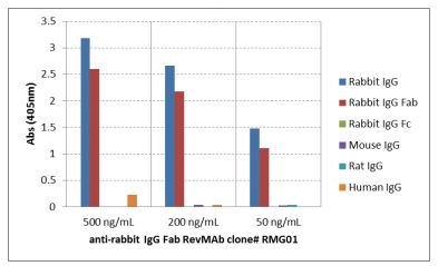 ELISA - Anti-Rabbit IgG Fab region antibody [RMG01] (AB190495), expandable thumbnail