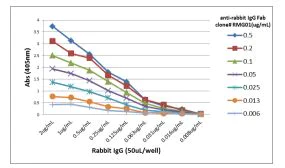 ELISA - Anti-Rabbit IgG Fab region antibody [RMG01] (AB190495)