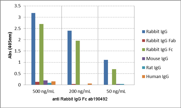 ELISA - Anti-Rabbit IgG Fc antibody [RMG02] (AB190492), expandable thumbnail